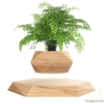 KIYOMING levitating plant pot floating in mid air for aesthetic room upgrades