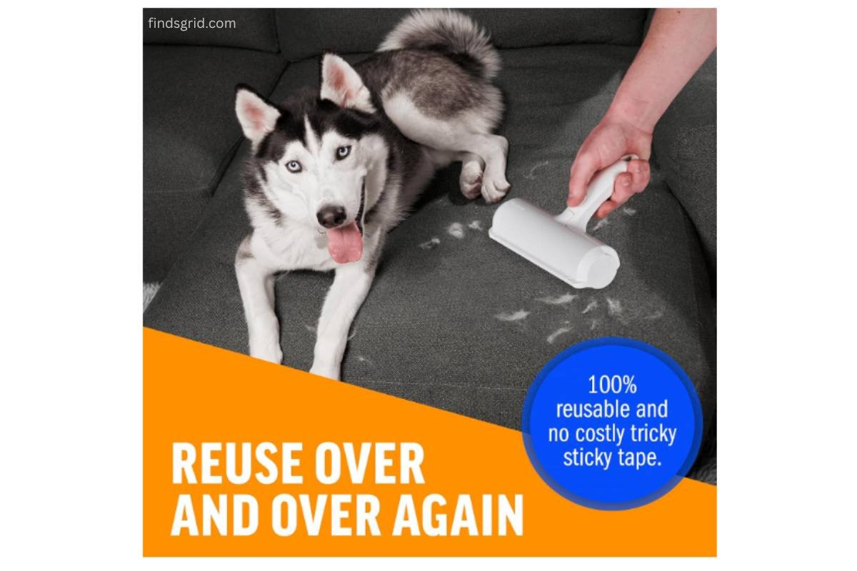 Reusable ChomChom pet hair roller cleaning dog fur off grey sofa