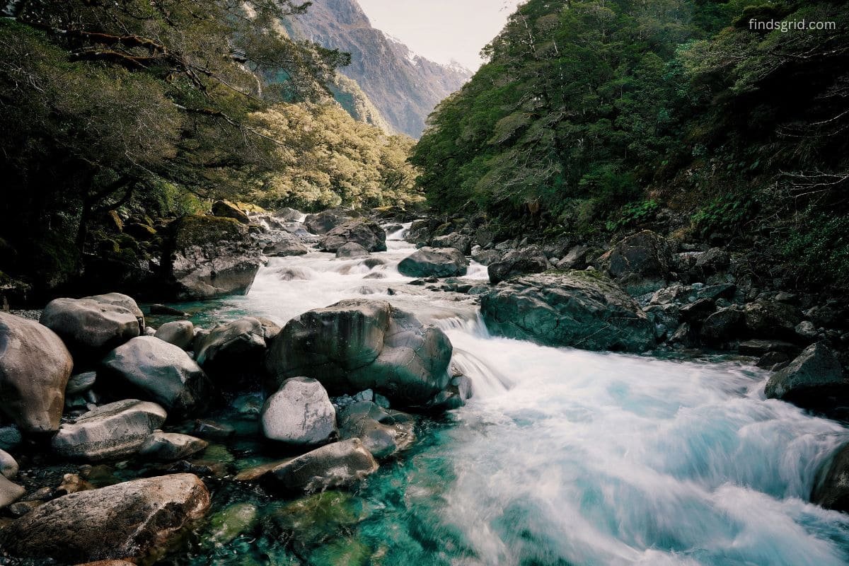 Clear mountain creek that can still carry Giardia and bacteria