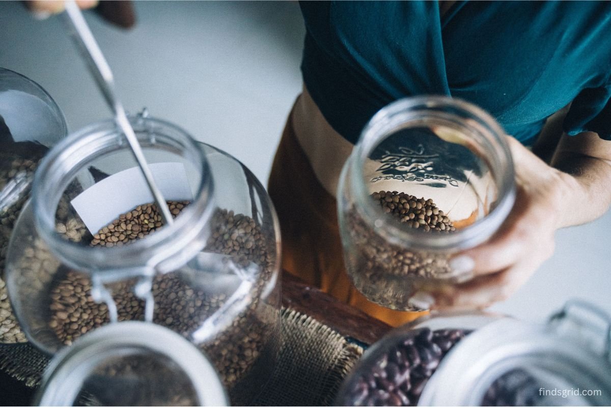 Hands holding glass jars of dried seeds for long-term storage