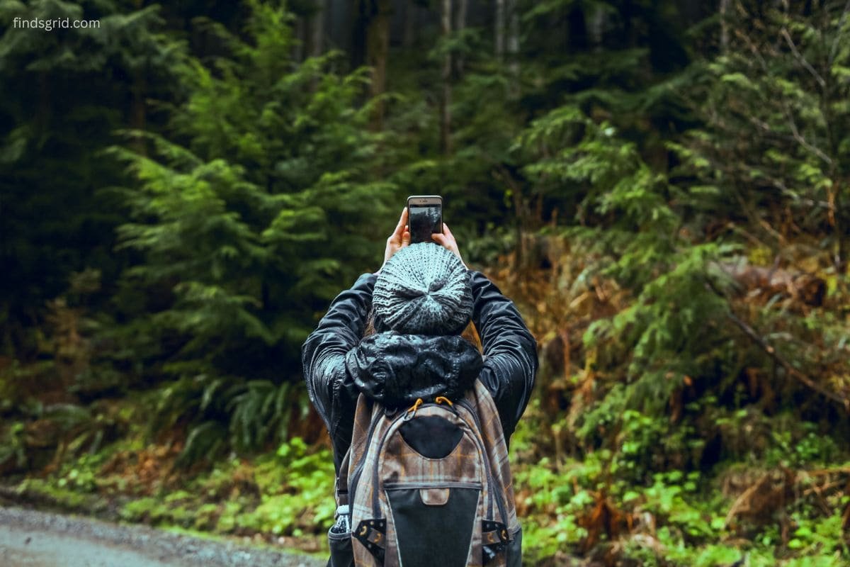 Hiker photographing a forest trail with a smartphone during a nature walk