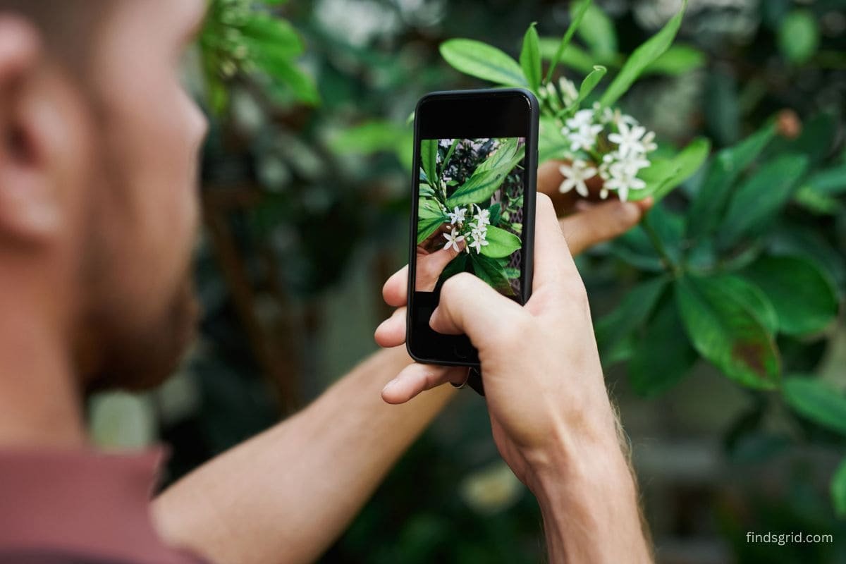 Smartphone nature photography tips in action as a hiker frames a shot on a trail