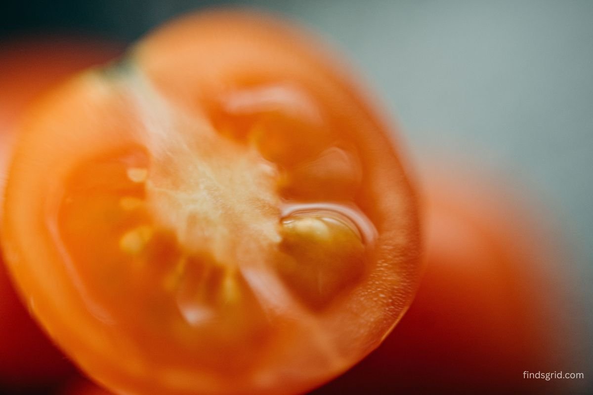 tomato seeds close up